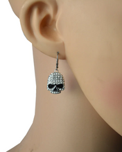 Load image into Gallery viewer, Women's Bling Earrings Stainless Steel Skull Lever Backs
