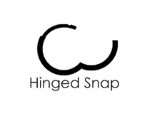 Load image into Gallery viewer, Biker Jewelry Stainless Steel Hinged Hoop Dangling Lightning Bolt Earrings Gold tone  SE11G