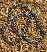 Load image into Gallery viewer, 11mm Figaro Link Chain Stainless Steel CH16