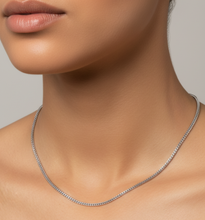 Load image into Gallery viewer, 4mm Foxtail Link Chain Unisex Necklace Stainless Steel CH46