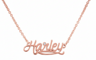 Harley-Davidson® 