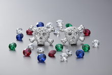 Load image into Gallery viewer, Skull &amp; Crossbones Bling Post Earrings Unisex Stainless Steel SE12