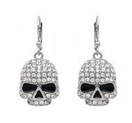 Women's Bling Earrings Stainless Steel Skull Lever Backs SE86