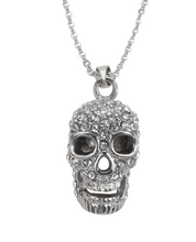 Load image into Gallery viewer, Ladies Skull Pendant &amp; Necklace Stainless Steel