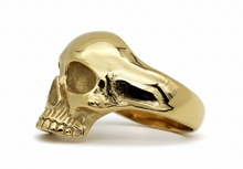 Load image into Gallery viewer, Small Gold Skull Ring – Unisex 18k Gold Plated Stainless Steel SR26